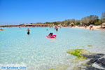 JustGreece.com Elafonisi (Elafonissi) Crete - Greece - Photo 108 - Foto van JustGreece.com