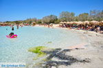 JustGreece.com Elafonisi (Elafonissi) Crete - Greece - Photo 109 - Foto van JustGreece.com
