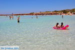 Elafonisi (Elafonissi) Crete - Greece - Photo 114 - Photo JustGreece.com