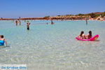 JustGreece.com Elafonisi (Elafonissi) Crete - Greece - Photo 115 - Foto van JustGreece.com