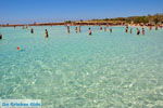 Elafonisi (Elafonissi) Crete - Greece - Photo 119 - Photo JustGreece.com