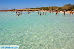JustGreece.com Elafonisi (Elafonissi) Crete - Greece - Photo 120 - Foto van JustGreece.com