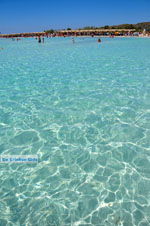 JustGreece.com Elafonisi (Elafonissi) Crete - Greece - Photo 125 - Foto van JustGreece.com
