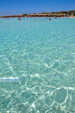JustGreece.com Elafonisi (Elafonissi) Crete - Greece - Photo 126 - Foto van JustGreece.com