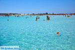 Elafonisi (Elafonissi) Crete - Greece - Photo 129 - Photo JustGreece.com