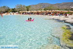 Elafonisi (Elafonissi) Crete - Greece - Photo 133 - Photo JustGreece.com