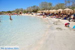 JustGreece.com Elafonisi (Elafonissi) Crete - Greece - Photo 138 - Foto van JustGreece.com
