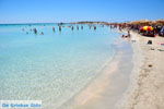 Elafonisi (Elafonissi) Crete - Greece - Photo 144 - Photo JustGreece.com