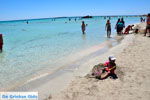 JustGreece.com Elafonisi (Elafonissi) Crete - Greece - Photo 146 - Foto van JustGreece.com