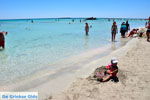 Elafonisi (Elafonissi) Crete - Greece - Photo 147 - Photo JustGreece.com
