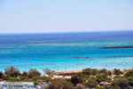 Elafonisi (Elafonissi) Crete - Greece - Photo 152 - Photo JustGreece.com