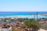 JustGreece.com Elafonisi (Elafonissi) Crete - Greece - Photo 156 - Foto van JustGreece.com
