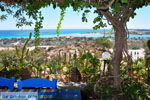 Elafonisi (Elafonissi) Crete - Greece - Photo 160 - Photo JustGreece.com