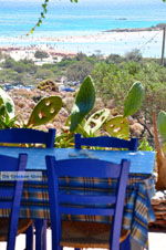 JustGreece.com Elafonisi (Elafonissi) Crete - Greece - Photo 170 - Foto van JustGreece.com