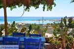 JustGreece.com Elafonisi (Elafonissi) Crete - Greece - Photo 171 - Foto van JustGreece.com