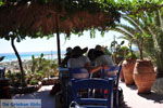 Elafonisi (Elafonissi) Crete - Greece - Photo 178 - Photo JustGreece.com