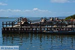 Etoliko - Prefecture  Aetoloakarnania -  Photo 15 - Foto van JustGreece.com