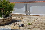 Etoliko - Prefecture  Aetoloakarnania -  Photo 26 - Photo JustGreece.com