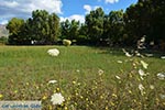 Mytikas - Prefecture  Aetoloakarnania -  Photo 28 - Photo JustGreece.com