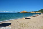Vonitsa - Prefecture  Aetoloakarnania -  Photo 18 - Photo JustGreece.com