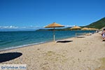 Vonitsa - Prefecture  Aetoloakarnania -  Photo 19 - Photo JustGreece.com