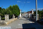Vonitsa - Prefecture  Aetoloakarnania -  Photo 28 - Photo JustGreece.com