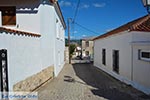 Vonitsa - Prefecture  Aetoloakarnania -  Photo 29 - Photo JustGreece.com