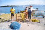 Eretria | Euboea Greece | Greece  - Photo 008 - Photo JustGreece.com