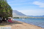 Eretria | Euboea Greece | Greece  - Photo 021 - Photo JustGreece.com