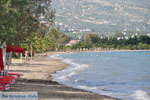 JustGreece.com Eretria | Euboea Greece | Greece  - Photo 022 - Foto van JustGreece.com