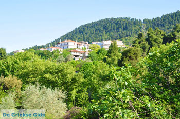 Ellinika North-Euboea | Greece | Greece  Photo 5 - Photo JustGreece.com