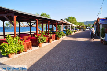 Psaropouli and Vassilika | North-Euboea Greece | Photo 8 - Photo JustGreece.com