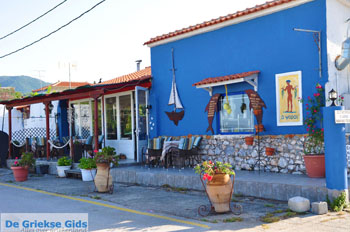 JustGreece.com Psaropouli and Vassilika | North-Euboea Greece | Photo 12 - Foto van JustGreece.com