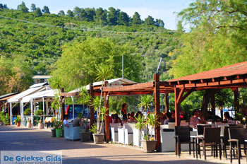 Psaropouli and Vassilika | North-Euboea Greece | Photo 15 - Photo JustGreece.com