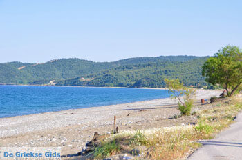 Psaropouli and Vassilika | North-Euboea Greece | Photo 16 - Photo JustGreece.com