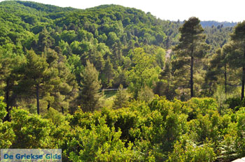 Noordoostkust Euboea | Greece | Photo 4 - Photo JustGreece.com