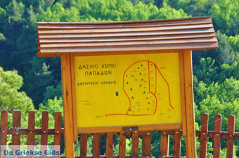 Papades North-Euboea | Greece | Greece  Photo 3 - Photo JustGreece.com