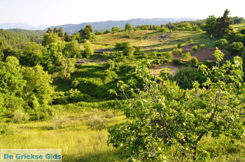 Papades North-Euboea | Greece | Greece  Photo 13 - Photo JustGreece.com
