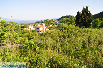 Agia Anna North-Euboea | Greece | Greece  Photo 4 - Photo JustGreece.com