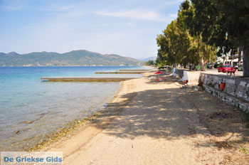 Rovies North-Euboea | Greece | Greece  Photo 6 - Photo JustGreece.com