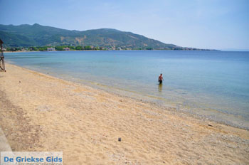 JustGreece.com Aghios Nikolaos Aedipsos | North-Euboea | Greece  Photo 2 - Foto van JustGreece.com