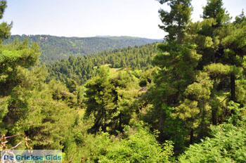 Mooie nature North-Euboea | Greece | Greece  Photo 1 - Foto van JustGreece.com