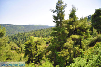 Mooie nature North-Euboea | Greece | Greece  Photo 2 - Photo JustGreece.com