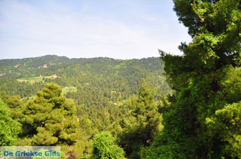 Mooie nature North-Euboea | Greece | Greece  Photo 3 - Photo JustGreece.com