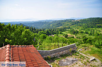 Mooie nature North-Euboea | Greece | Greece  Photo 5 - Photo JustGreece.com
