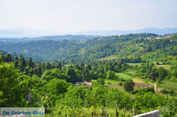 Mooie nature North-Euboea | Greece | Greece  Photo 6 - Photo JustGreece.com