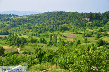 JustGreece.com Mooie nature North-Euboea | Greece | Greece  Photo 7 - Foto van JustGreece.com