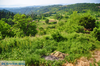 Mooie nature North-Euboea | Greece | Greece  Photo 9 - Photo JustGreece.com