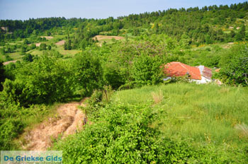 Mooie nature North-Euboea | Greece | Greece  Photo 11 - Foto van JustGreece.com