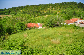 Mooie nature North-Euboea | Greece | Greece  Photo 12 - Photo JustGreece.com